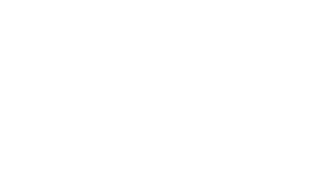 MHL Agency & Co